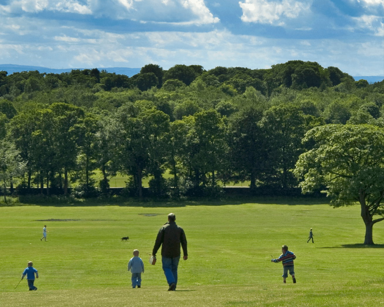 United Kingdom trees