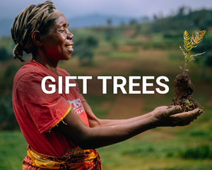Gift trees main image