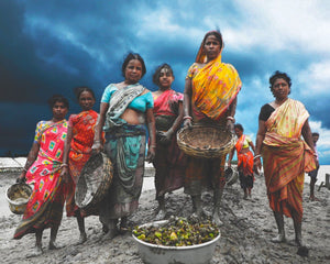 Indian woman planting mangroves