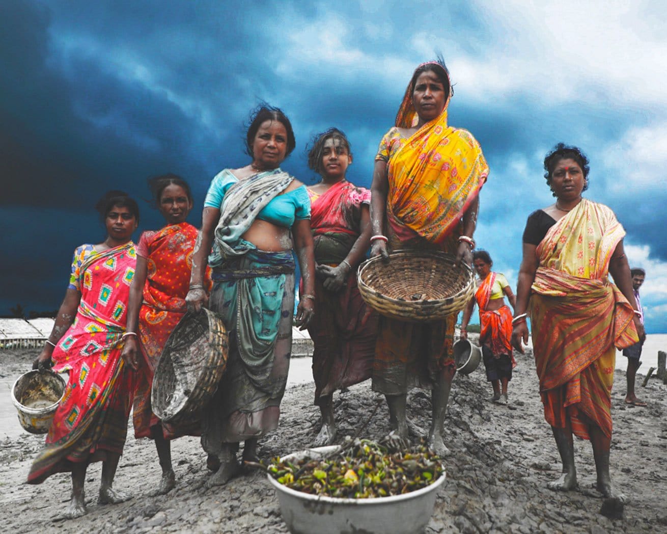 India women planting mangroves 